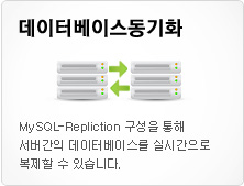 데이터베이스동기화